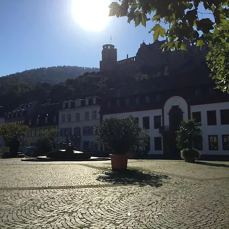 Moderner Luxus In Barockem Gewand Appartement Heidelberg Buitenkant foto